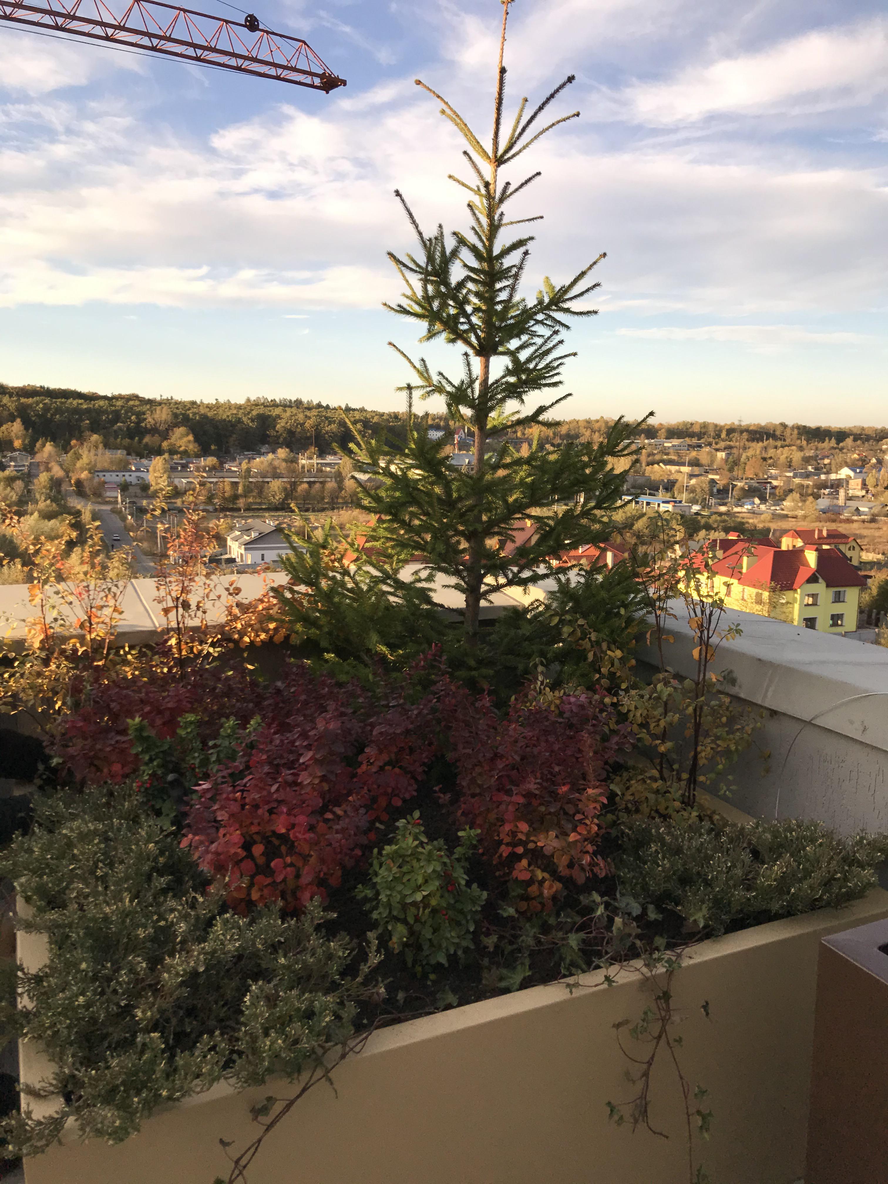 Хід будівництва, 10.19